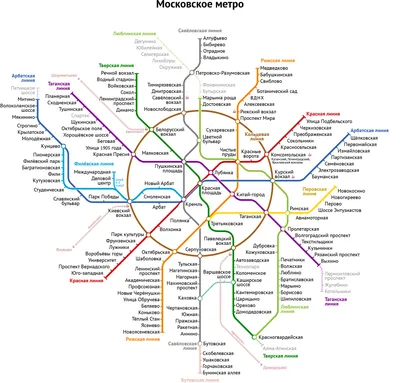Власти Москвы объяснили указатели в метро на узбекском и таджикском — РБК