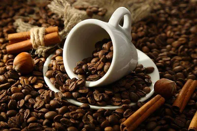 Международный день кофе: история праздника и традиции