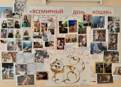 Всемирный день кошек — Галиб Курбанов на TenChat.ru