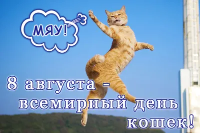 8 августа — Всемирный День Кошек, благотворительная акция в  интернет-магазине MAGIZOO