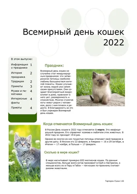День кошки — Википедия
