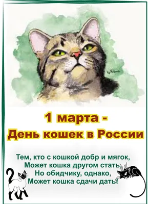 День кота 2022 – прикольные открытки и картинки с поздравлениями – видео |  OBOZ.UA