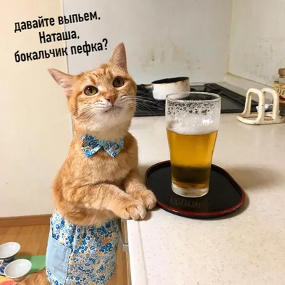 Международный день пива — vddgb.ru