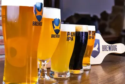 4 августа отмечается Международный день пива | Пикабу