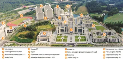 МГУ вошел в топ-200 университетов мира в рейтинге THE — РБК