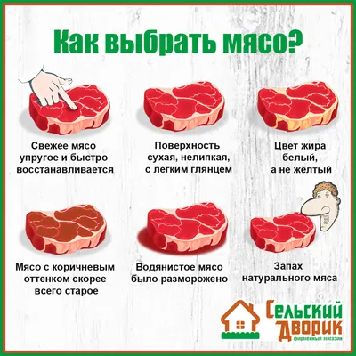 Когда в мире начнут продавать искусственное мясо - Российская газета