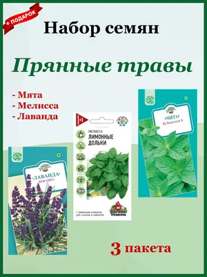 🌱 Мелисса (Лимонная мята) лекарственная по цене от 300 руб: саженцы,  рассада - купить в Москве с доставкой - интернет-магазин Все Сорта