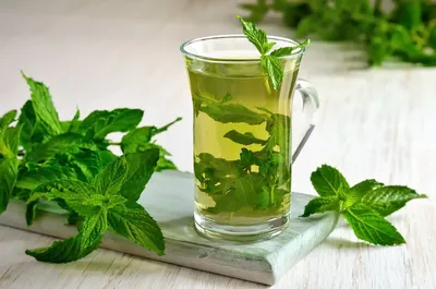 Чай травяной «Doctor Green» мята, 20 пакетиков купить в Минске: недорого в  интернет-магазине Едоставка