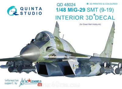 A Cold War veteran – the present and the future of MiG-29 with the NATO air  forces —