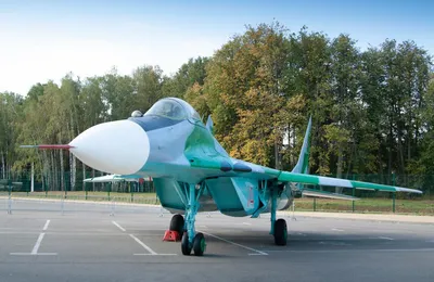 Самолет МиГ-29 - парк Патриот