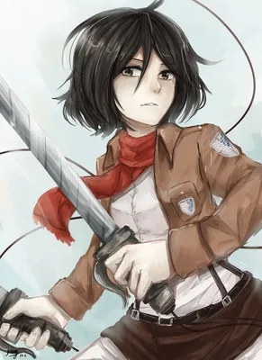 Mikasa Ackerman/#1730465 - Zerochan | Attack on titan, Anime images, Mikasa