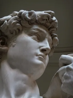 Почему Давид Микеланджело - шедевр? | arts_tobe - просто об искусстве | Дзен
