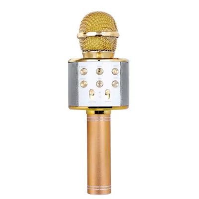 Микрофон SHURE SM58LCE купить 110369 ⭐ Музыкальные инструменты In-Jazz