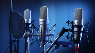 15 видов микрофонов и для чего они нужны? | djshop.by