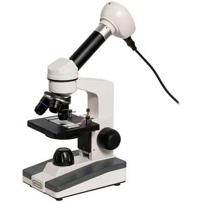 Электронный микроскоп BX53M – купить в Санкт-Петербурге и области по  выгодной цене и с гарантией качества от производителя