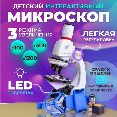 Флуоресцентный микроскоп MicroOptix MX 300 (TF LED) купить по ценам дилера  — Медтехника и приборы