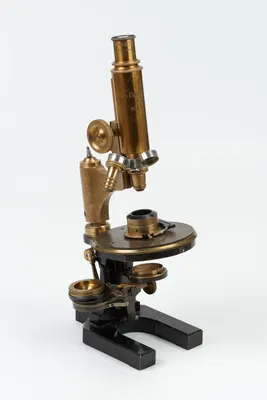 Детский микроскоп школьный ORGANIC BRAND 14 в 1 для опытов и исследований  купить по цене 2399 ₽ в интернет-магазине Детский мир