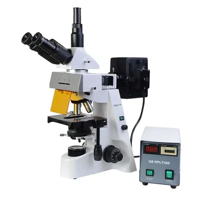 Микроскоп с увеличением 640X, 1280X, 2000X, HD, для биологического  микроскопа, для обучения студентов, лабораторий, светодиодный светильник,  держатель для телефона, электронный окуляр | AliExpress