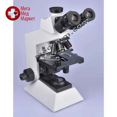 Как выбрать микроскоп для дома? Cоветы по выбору лучшего микроскопа для  домашнего использования.