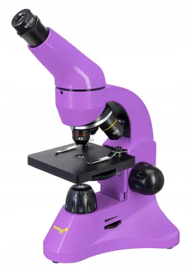 Люминесцентный микроскоп: принцип работы и устройство – Статьи на сайте  Четыре глаза