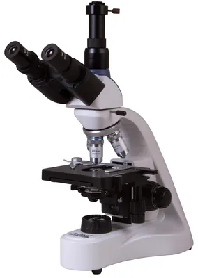 микроскоп иллюстрация вектора. иллюстрации насчитывающей наука - 40783022