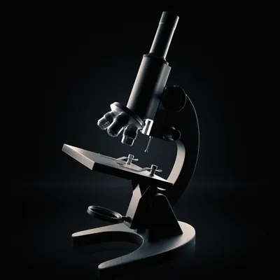 Микроскоп Эврики 0891415: купить за 1000 руб в интернет магазине с  бесплатной доставкой