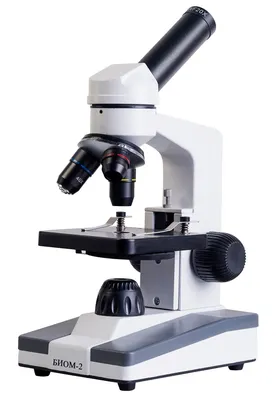 микроскоп — Викисловарь