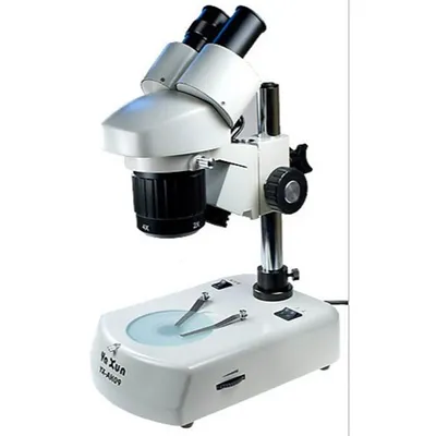 Микроскоп школьный Эврика 40х-1280х LCD цифровой: характеристики, фото,  цена, купить в интернет-магазине оптики Veber.ru
