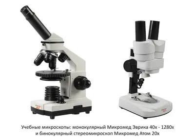 Микроскоп медицинский Биомед 3 – купить в Москве, цена микроскопа  медицинского Биомед 3