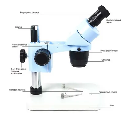 Микроскоп бинокулярный флуоресцентный BS – 7000А BestScope купить в Минске  — LVS.by – Лабораторные и весовые системы