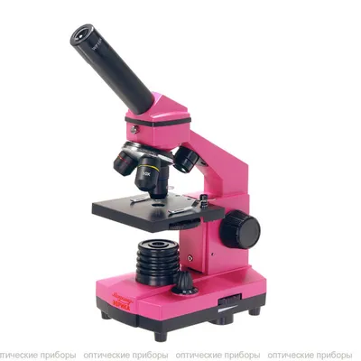 Значок материала микроскопа PNG , микроскоп, иконка, материал PNG рисунок  для бесплатной загрузки