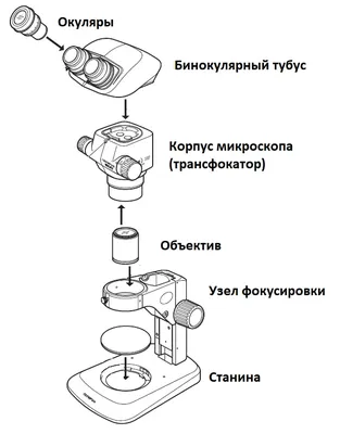 N-300M Бинокулярный микроскоп