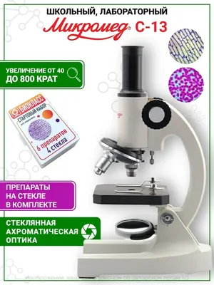 Купить микроскоп Levenhuk 2L NG, монокулярный - интернет-магазин Levenhuk