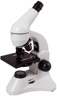 Микроскоп Olympus СX43 - Микросистемы