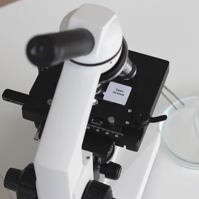 Фазово-контрастный микроскоп BA210 Trinocular