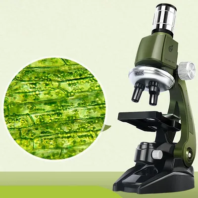 Микроскоп школьный Микромед Эврика 40х-1280х LCD цифровой купить по цене 20  190 руб. в магазине микроскопов