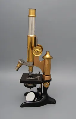 микроскоп лаборатории стоковое изображение. изображение насчитывающей  макрос - 17966299