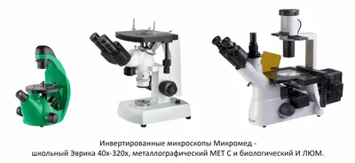 Цифровой бинокулярный микроскоп
