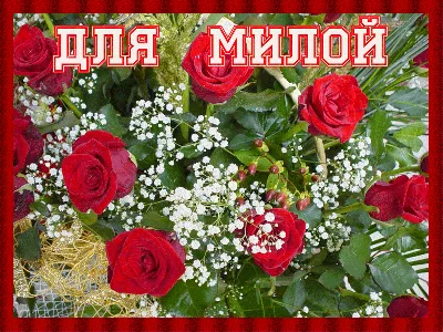 Милые женщины, примите поздравления с 8 марта! – Новости – Окружное  управление социального развития (городского округа Клин)