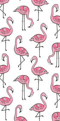 Купить Розовые постеры с перьями фламинго, вдохновляющие цитаты, настенная  живопись на холсте, скандинавские принты, милый декор с животными для  детской комнаты | Joom