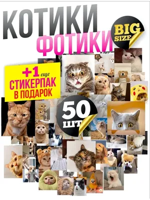 Милые котики. 100 наклеек – купить по лучшей цене на сайте издательства  Росмэн