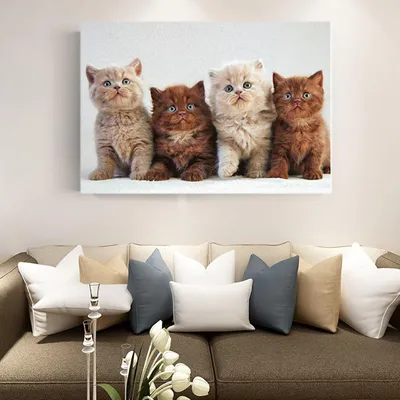 3d милые кошки для календаря с изображениями кошки. Иллюстрация штока -  иллюстрации насчитывающей кот, икона: 274964358