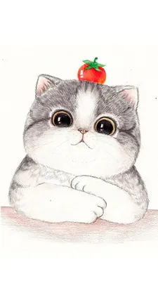 Самые милые нарисованные котики | Cute cat illustration, Cat drawing, Cat  art