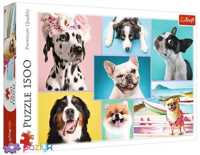 Игровой набор \"Cute pets\" милые собачки арт. 6699 (ID#203797088), цена: 19  руб., купить на Deal.by
