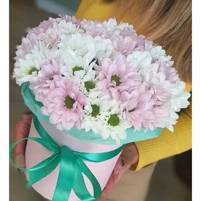 Милая Ромашка - купить цветы с доставкой в Барнауле | Flowersroom