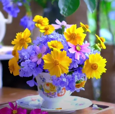 Красивые названия цветов - блог Florina Харьков