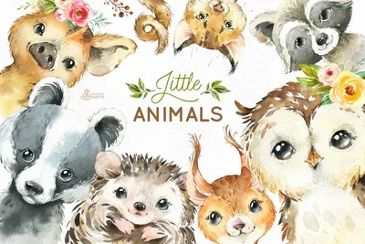 Самые Милые Животные | Интересные факты | Дзен