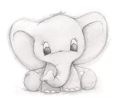 Красивые рисунки милых животных для срисовки 9 мая (32 шт)