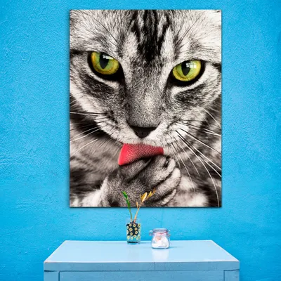 Картина на стену Милый котик купить -интернет магазин в Москве