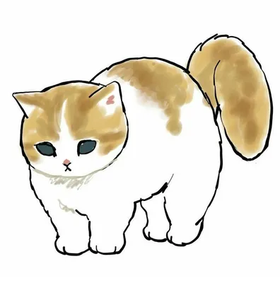 Милый котик 🐈 | Милые котики, Иллюстрации кошек, Котята